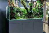 Aquarium dengan kabinet minimalis