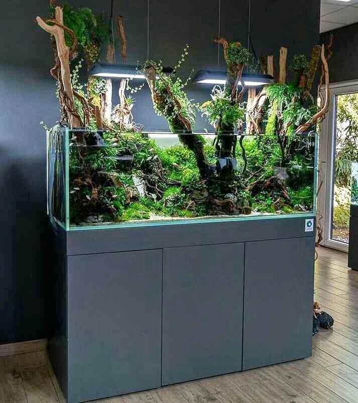 Aquarium dengan kabinet minimalis