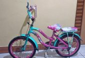 SEPEDA DAN SCOOTER ANAK