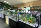 Aquarium dengan kabinet minimalis