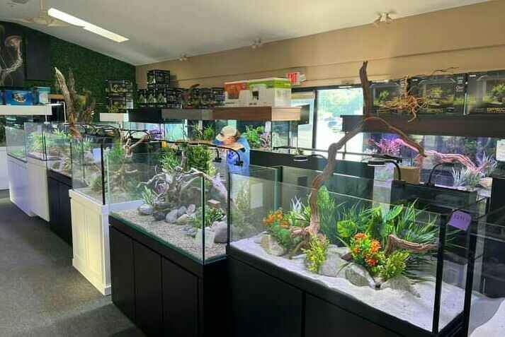 Aquarium dengan kabinet minimalis