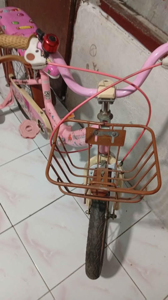 Sepeda anak cewe