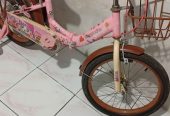 Sepeda anak cewe