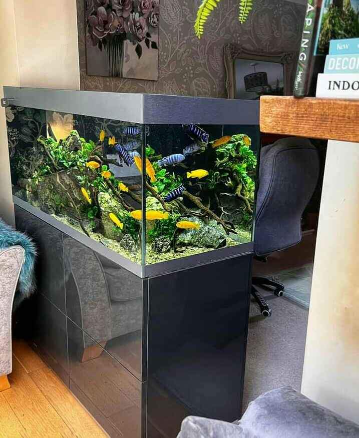 Aquarium dengan kabinet minimalis