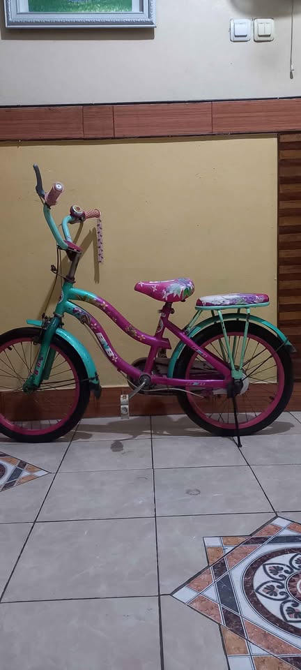 SEPEDA DAN SCOOTER ANAK