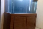 Aquarium dengan kabinet minimalis
